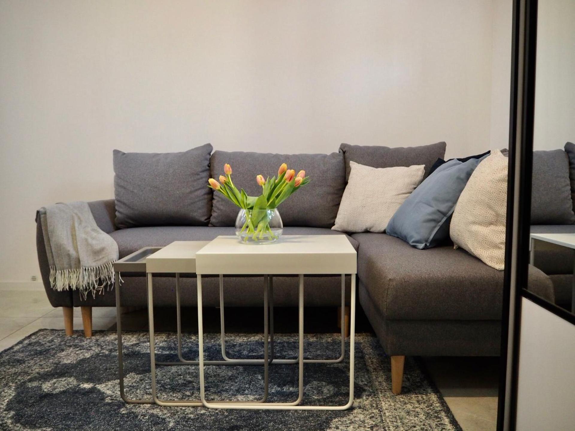 Pod Srebrnym Jeleniem Apartment Mragowo Bilik gambar